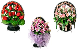 Серия «Элит»